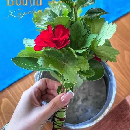 парк боили-кирека Kaspichan