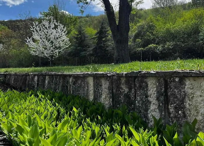 парк боили-кирека