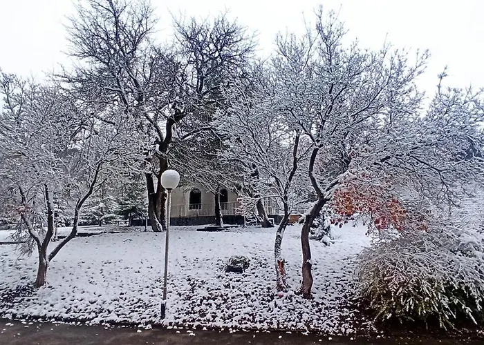 парк боили-кирека